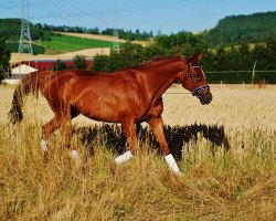 broodmare Epiphania (unknown, 2004, from Epernay)