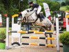 jumper Miss Arrabella (Connemara Pony, 2012, from Unbekannt PONY)