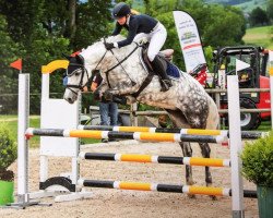 jumper Miss Arrabella (Connemara Pony, 2012, from Unbekannt PONY)