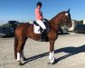 dressage horse Pajuna B (Westphalian, 2012, from Priano)