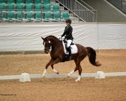 dressage horse Fleur de La Vie 3 (Hanoverian, 2014, from Franziskus FRH)