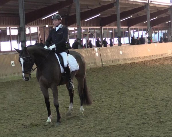 Reitturnier Appelhülsen 2015