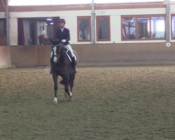 Reitturnier Appelhülsen 2015