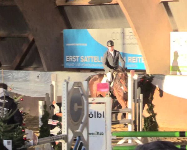 Reitturnier Essen-Stadtwald 2015