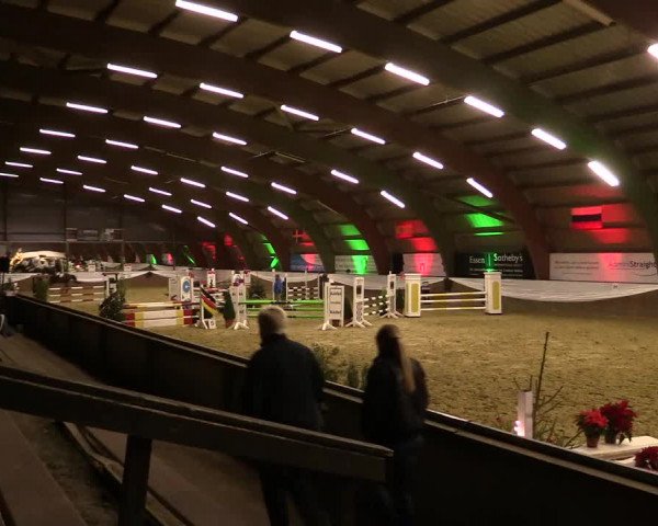 Reitturnier Essen-Stadtwald 2015