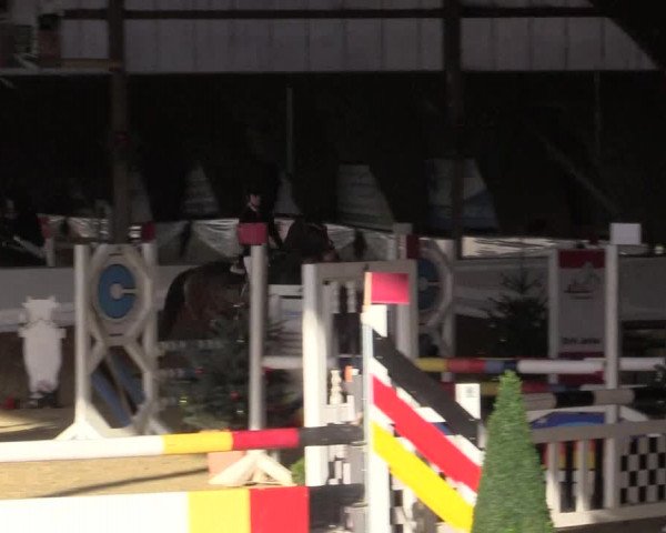 Reitturnier Essen-Stadtwald 2015