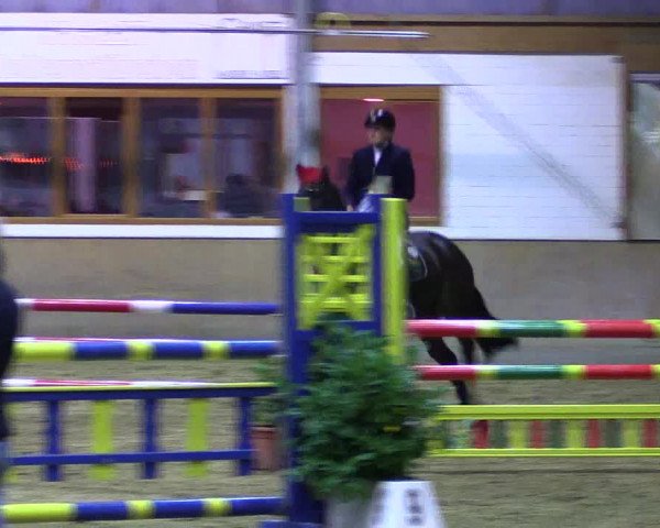 Reitturnier Appelhülsen 2015