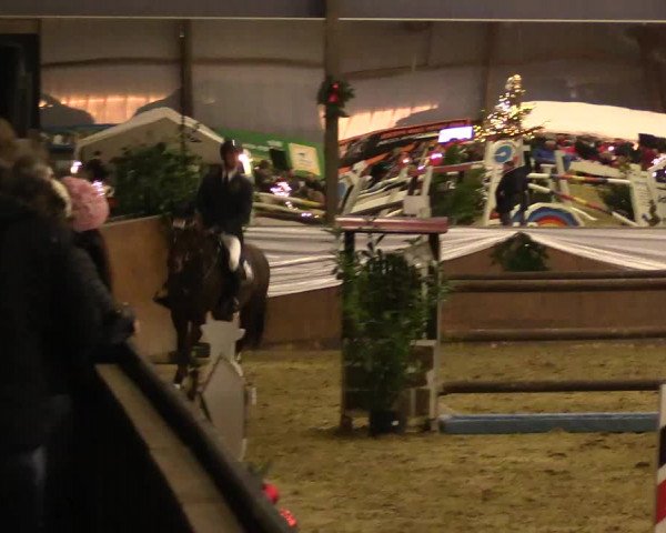 Reitturnier Essen-Stadtwald 2015