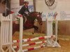 jumper Dargur (German Riding Pony, 2015, from Da Capo)