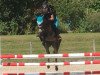 broodmare Gipsy 1121 (German Riding Pony, 2006, from Hopkins)