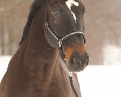 horse Chardonnay 53 (Bavarian, 2002, from Caretello B)