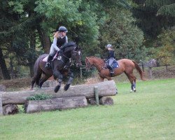 jumper Famous Flip (KWPN (Royal Dutch Sporthorse), 2010)