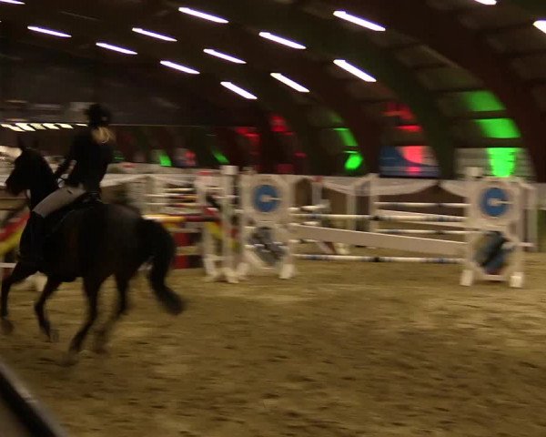 Reitturnier Essen-Stadtwald 2015