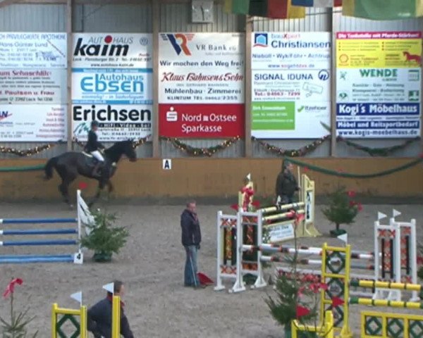 Reitturnier Leck 2015