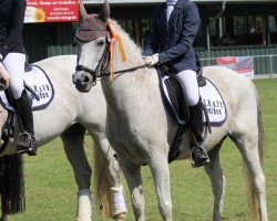 dressage horse Magic 119 (German Riding Pony, 1998, from Small-Land Martino)