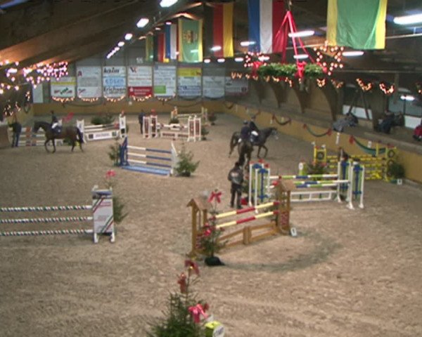 Reitturnier Leck 2015