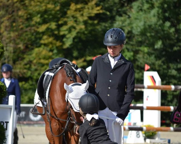 dressage horse Beautiful Diamond (German Riding Pony, 2013, from Black Champion)
