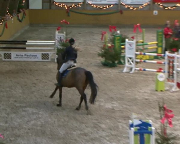 Reitturnier Leck 2015