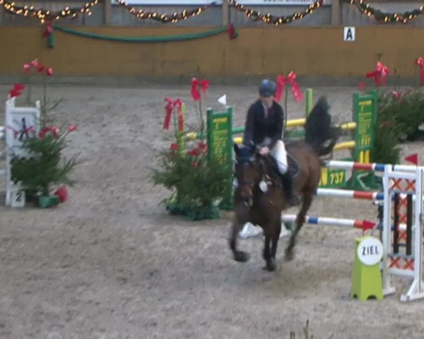 Reitturnier Leck 2015