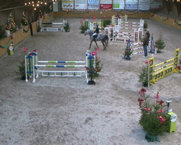 Reitturnier Leck 2015