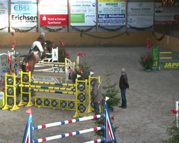 Reitturnier Leck 2015