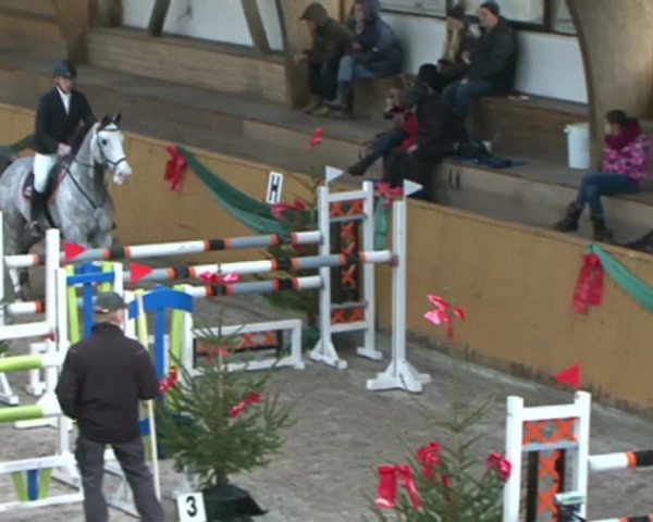 Reitturnier Leck 2015