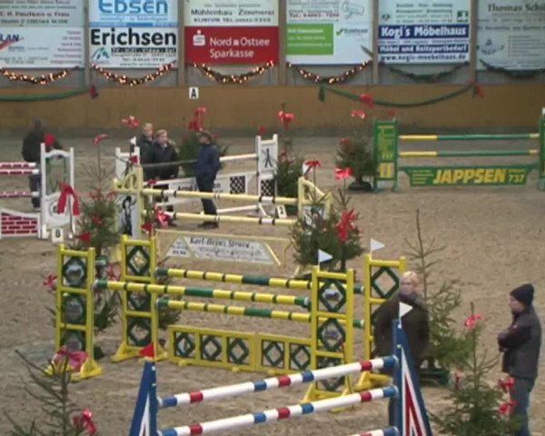 Reitturnier Leck 2015