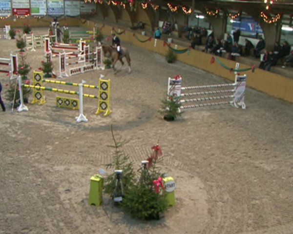 Reitturnier Leck 2015