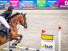 jumper Mastercard 3 (Oldenburg show jumper, 2013, from HH Messenger)