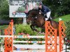 jumper Arthos (German Sport Horse, 2007, from Adlantus As)