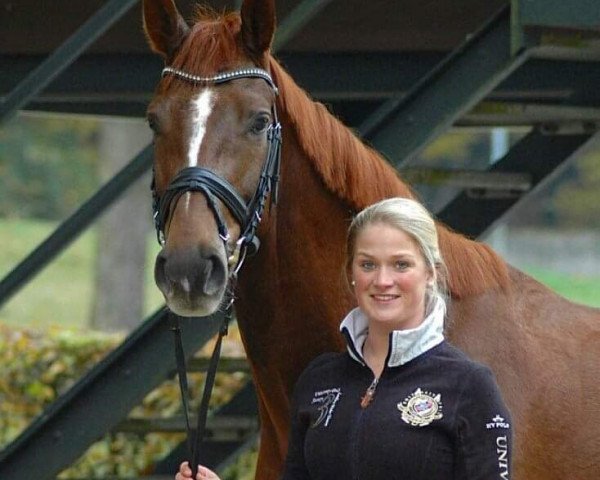 horse Loui (Hanoverian, 2009, from Lauries Crusador xx)