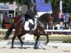 stallion Asamoah S (German Riding Pony, 2017, from A kind of Magic 5)