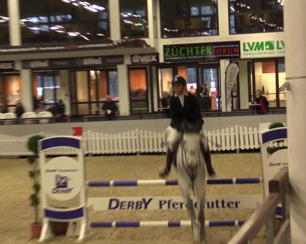 Reitturnier Münster-Handorf 2015