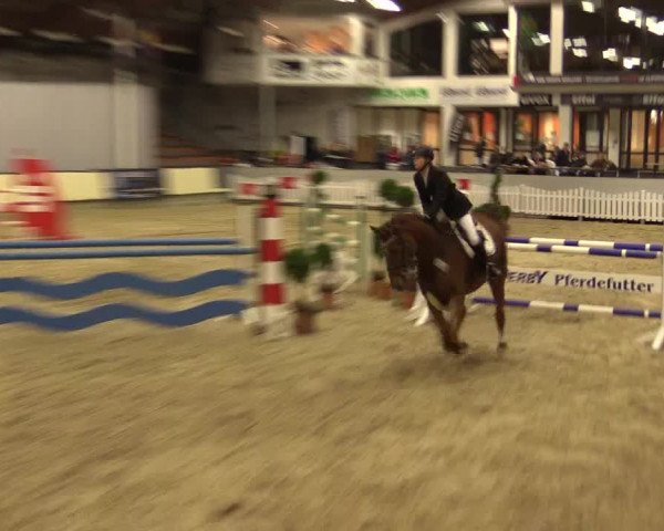 Reitturnier Münster-Handorf 2015