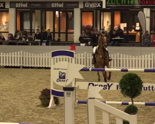 Reitturnier Münster-Handorf 2015