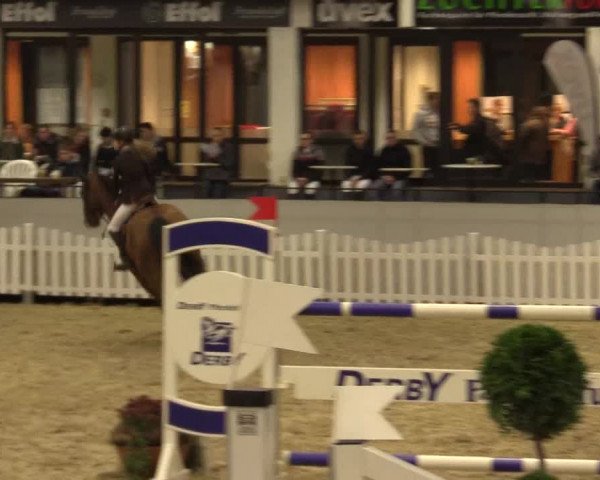 Reitturnier Münster-Handorf 2015