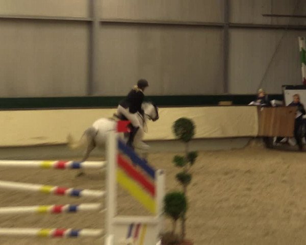 Reitturnier Münster-Handorf 2015