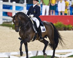 dressage horse Relâmpago Do Retiro (Lusitano, 1997, from Luar)