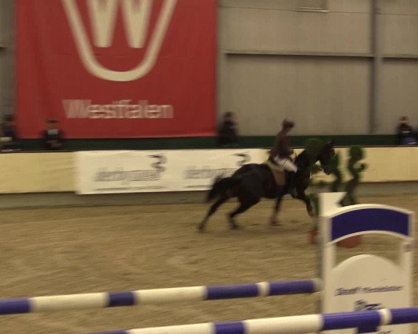 Reitturnier Münster-Handorf 2015