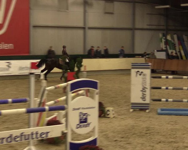 Reitturnier Münster-Handorf 2015