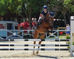 jumper Chaplin 132 (German Sport Horse, 2014, from Chap II)