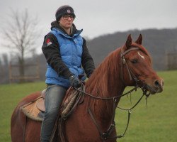 horse Pride (Arabian thoroughbred, 2016, from Ekstern 1994 ox)