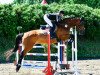 jumper Zamberio (German Warmblood, 2005, from Cyper Space)