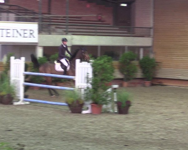Reitturnier Paderborn 2015