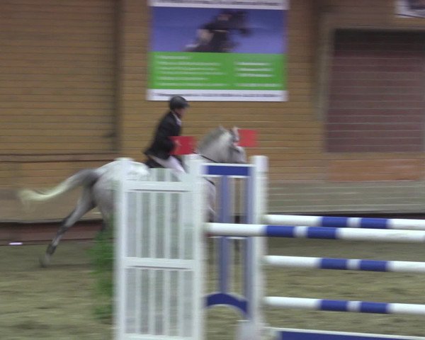 Reitturnier Paderborn 2015
