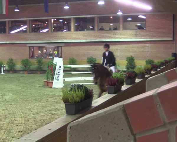 Reitturnier Paderborn 2015