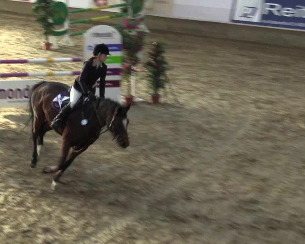 Reitturnier Alt Marl 2015