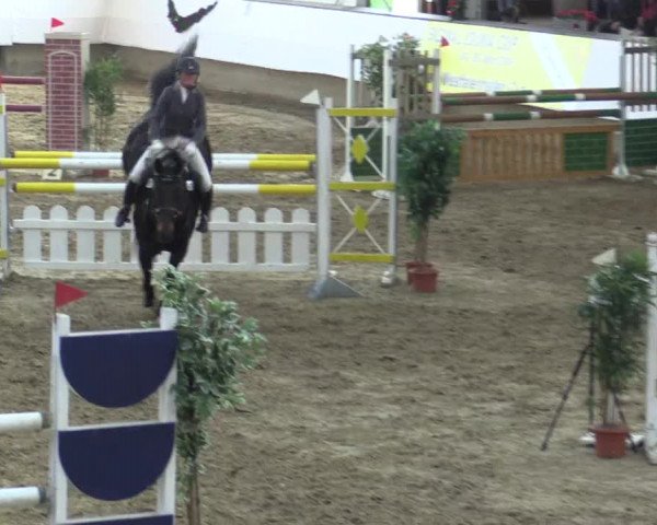 Reitturnier Alt Marl 2015