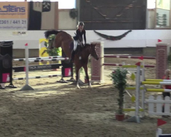 Reitturnier Alt Marl 2015