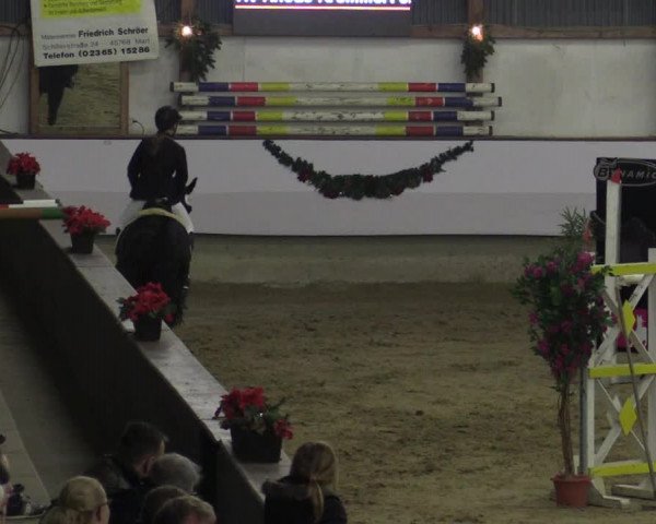 Reitturnier Alt Marl 2015